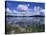 Summer, Lake at Ramen, North of Filipstad, Eastern Varmland, Sweden, Scandinavia-Richard Ashworth-Stretched Canvas