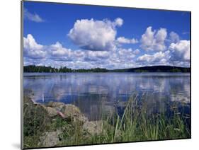 Summer, Lake at Ramen, North of Filipstad, Eastern Varmland, Sweden, Scandinavia-Richard Ashworth-Mounted Photographic Print