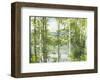 Summer Lake III-Elissa Gore-Framed Giclee Print