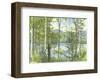 Summer Lake IV-Elissa Gore-Framed Art Print