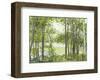 Summer Lake V-Elissa Gore-Framed Giclee Print