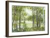 Summer Lake V-Elissa Gore-Framed Giclee Print