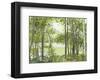 Summer Lake V-Elissa Gore-Framed Art Print