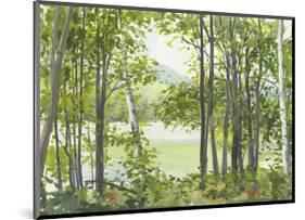 Summer Lake V-Elissa Gore-Mounted Art Print