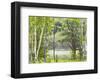 Summer Lake VI-Elissa Gore-Framed Giclee Print