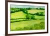 Summer Landscape, 2010-Joan Thewsey-Framed Giclee Print