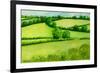 Summer Landscape, 2010-Joan Thewsey-Framed Giclee Print