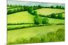 Summer Landscape, 2010-Joan Thewsey-Mounted Giclee Print