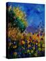 Summer Landscape 459090-Pol Ledent-Stretched Canvas