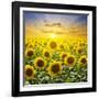 Summer Landscape: Beauty Sunset over Sunflowers Field-nadiya_sergey-Framed Photographic Print