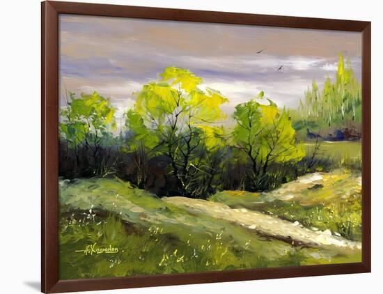 Summer Landscape Cloudy Day-balaikin2009-Framed Art Print