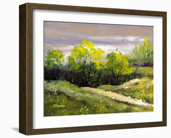 Summer Landscape Cloudy Day-balaikin2009-Framed Art Print