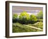 Summer Landscape Cloudy Day-balaikin2009-Framed Art Print