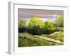 Summer Landscape Cloudy Day-balaikin2009-Framed Art Print