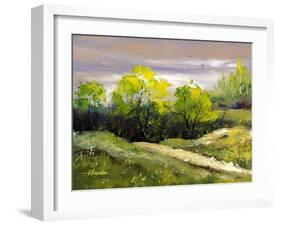 Summer Landscape Cloudy Day-balaikin2009-Framed Art Print