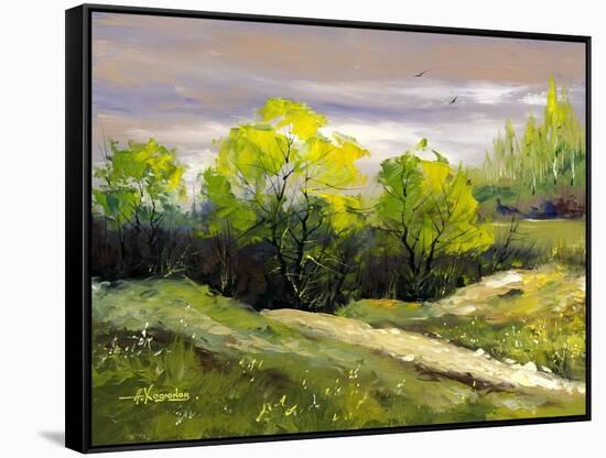 Summer Landscape Cloudy Day-balaikin2009-Framed Stretched Canvas