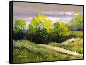 Summer Landscape Cloudy Day-balaikin2009-Framed Stretched Canvas