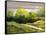 Summer Landscape Cloudy Day-balaikin2009-Framed Stretched Canvas