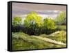 Summer Landscape Cloudy Day-balaikin2009-Framed Stretched Canvas