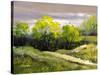 Summer Landscape Cloudy Day-balaikin2009-Stretched Canvas