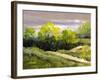 Summer Landscape Cloudy Day-balaikin2009-Framed Art Print