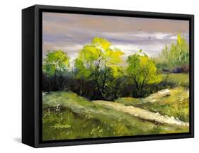 Summer Landscape Cloudy Day-balaikin2009-Framed Stretched Canvas