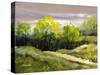 Summer Landscape Cloudy Day-balaikin2009-Stretched Canvas