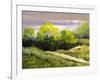 Summer Landscape Cloudy Day-balaikin2009-Framed Art Print