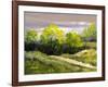 Summer Landscape Cloudy Day-balaikin2009-Framed Art Print