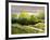 Summer Landscape Cloudy Day-balaikin2009-Framed Art Print