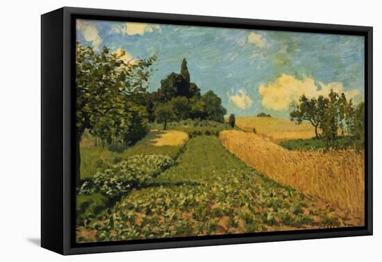 Summer Landscape (Cornfields at Argenteuil), 1873-Alfred Sisley-Framed Stretched Canvas