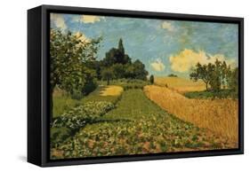 Summer Landscape (Cornfields at Argenteuil), 1873-Alfred Sisley-Framed Stretched Canvas