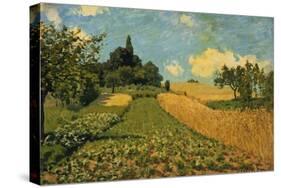 Summer Landscape (Cornfields at Argenteuil), 1873-Alfred Sisley-Stretched Canvas