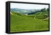 Summer Landscape in Langhe (Italy)-Claudiogiovanni-Framed Stretched Canvas