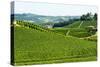 Summer Landscape in Langhe (Italy)-Claudiogiovanni-Stretched Canvas