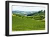 Summer Landscape in Langhe (Italy)-Claudiogiovanni-Framed Photographic Print