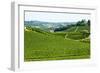 Summer Landscape in Langhe (Italy)-Claudiogiovanni-Framed Photographic Print