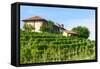 Summer Landscape in Monferrato (Italy)-Claudiogiovanni-Framed Stretched Canvas