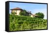 Summer Landscape in Monferrato (Italy)-Claudiogiovanni-Framed Stretched Canvas