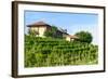 Summer Landscape in Monferrato (Italy)-Claudiogiovanni-Framed Photographic Print