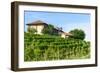 Summer Landscape in Monferrato (Italy)-Claudiogiovanni-Framed Photographic Print