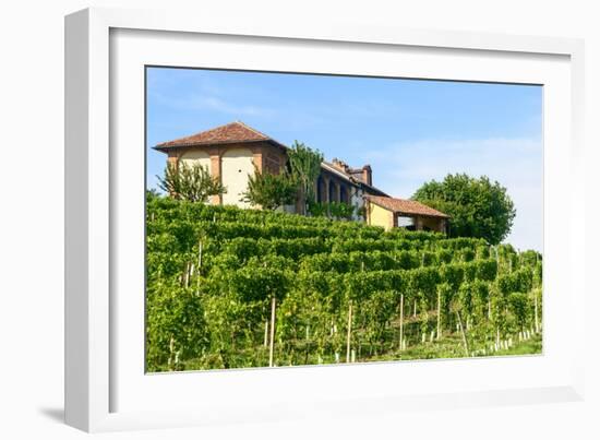 Summer Landscape in Monferrato (Italy)-Claudiogiovanni-Framed Photographic Print