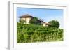 Summer Landscape in Monferrato (Italy)-Claudiogiovanni-Framed Photographic Print