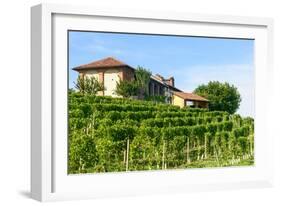 Summer Landscape in Monferrato (Italy)-Claudiogiovanni-Framed Photographic Print