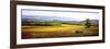 Summer Landscape Wagon-Spencer Williams-Framed Giclee Print