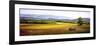 Summer Landscape Wagon-Spencer Williams-Framed Premium Giclee Print
