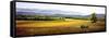 Summer Landscape Wagon-Spencer Williams-Framed Stretched Canvas
