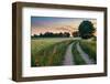 Summer Landscape with Country Road and Fields of Wheat. Masuria, Poland.-ysuel-Framed Photographic Print