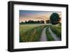 Summer Landscape with Country Road and Fields of Wheat. Masuria, Poland.-ysuel-Framed Photographic Print