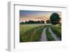 Summer Landscape with Country Road and Fields of Wheat. Masuria, Poland.-ysuel-Framed Photographic Print